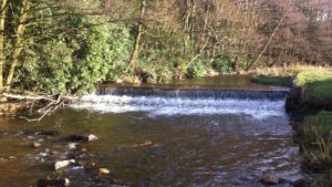 Bluebell Wood Weir, River Calder, before removal 