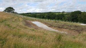 The new wetlands at Lower Knotts will slow the slow of water around the catchment and provide valuable wader habitat
