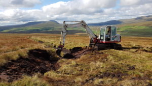 Peat restoration 