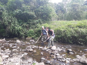 Our survey team searching for fish