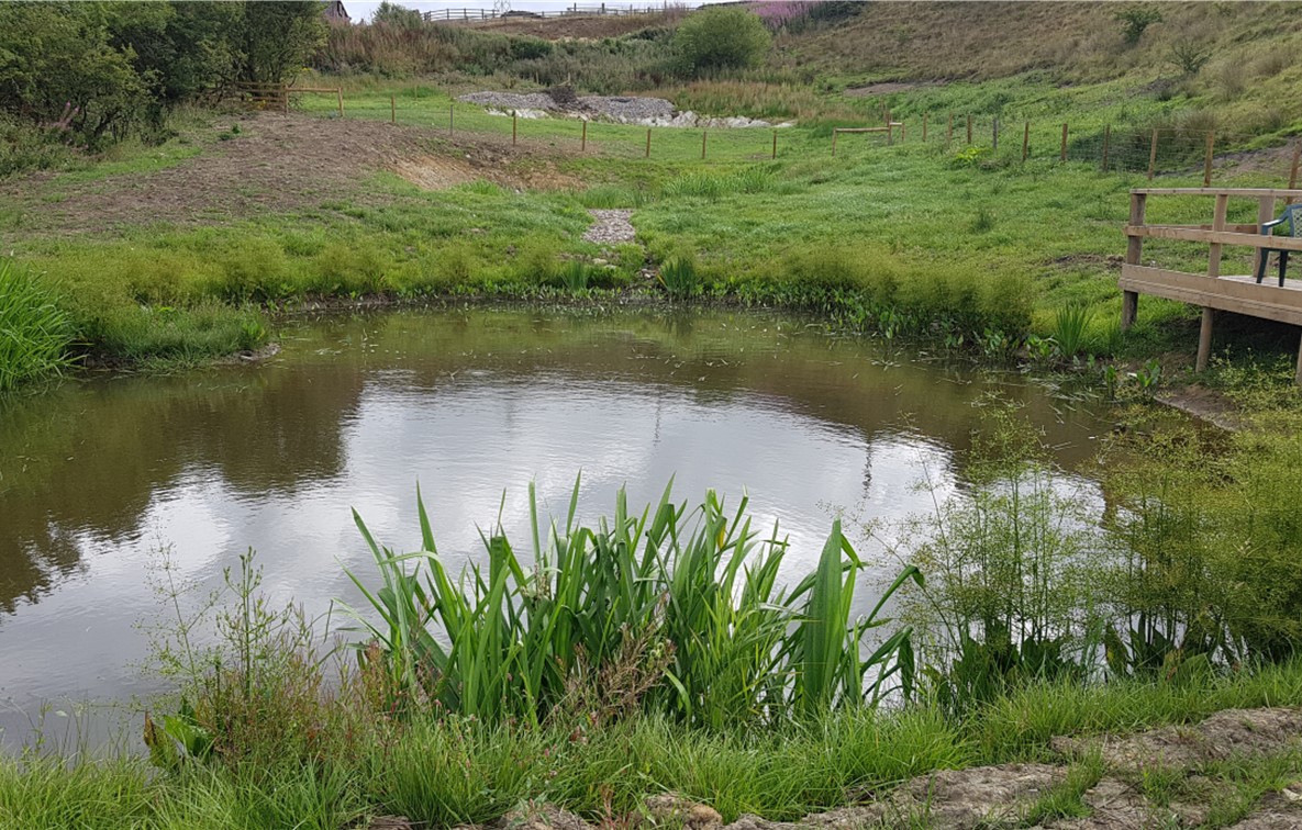 Slate Pits habitat scheme near Accrington