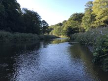River Darwen at Hoghton Bottoms