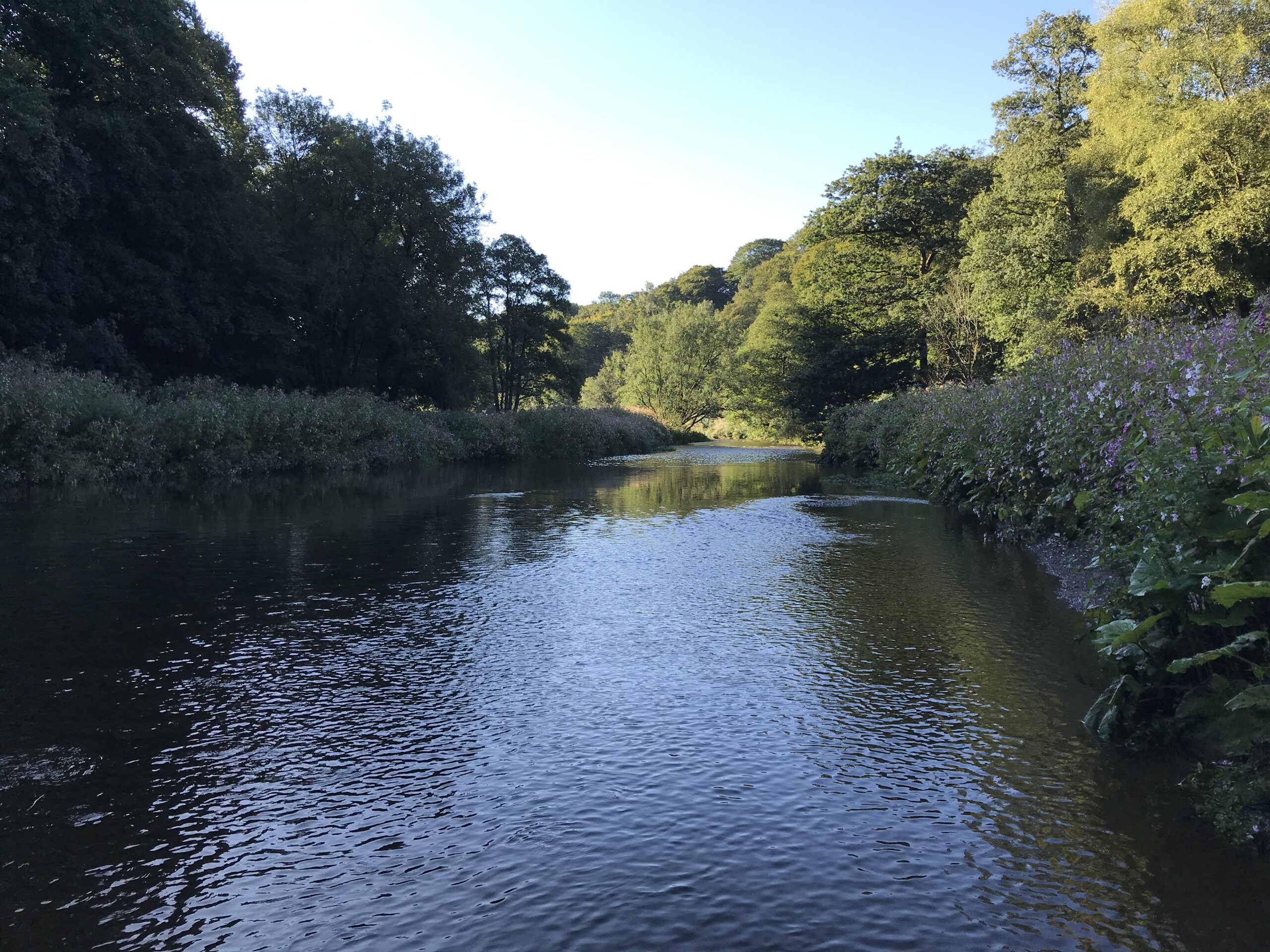 River Darwen at Hoghton Bottoms