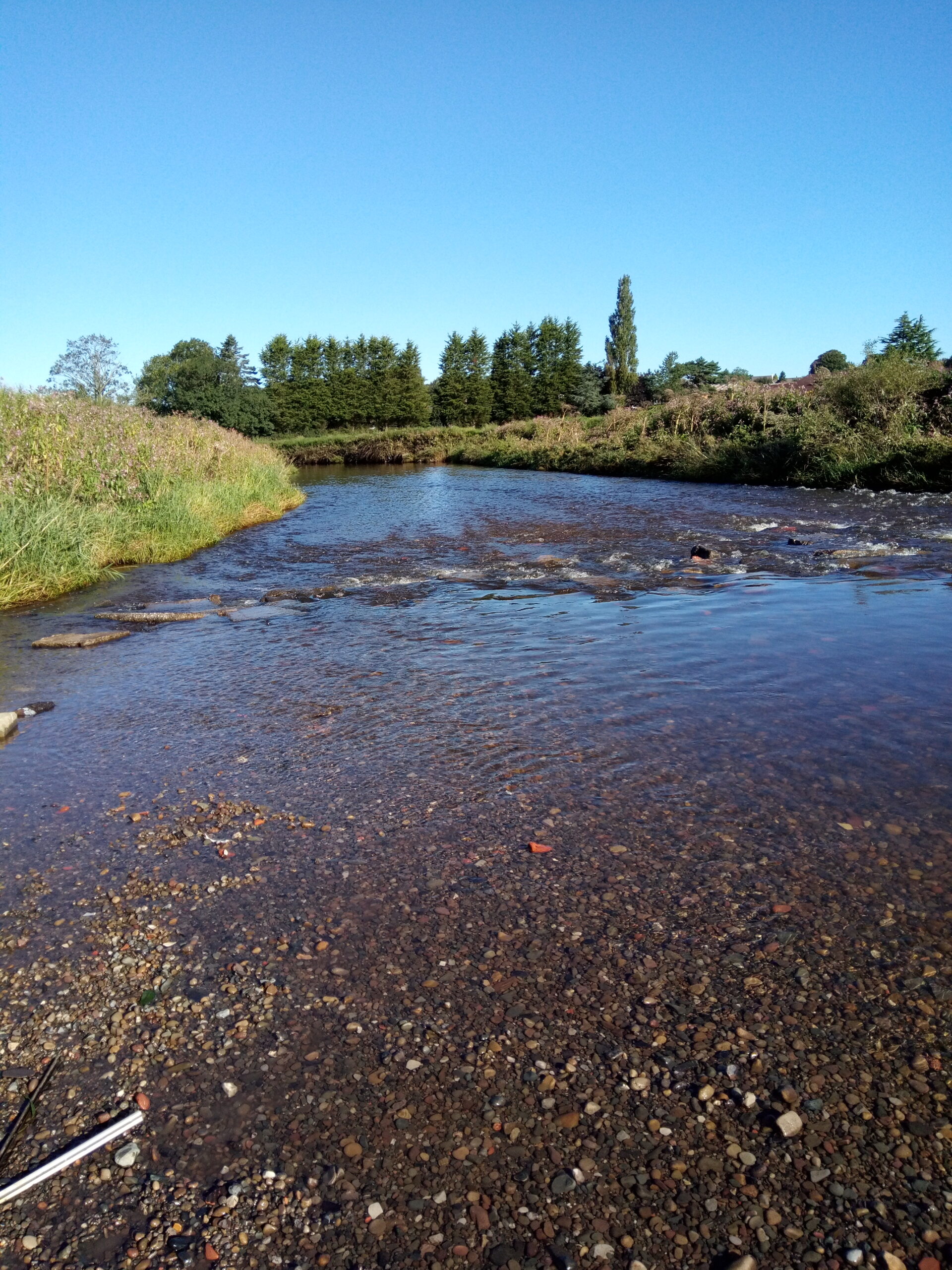 River Darwen